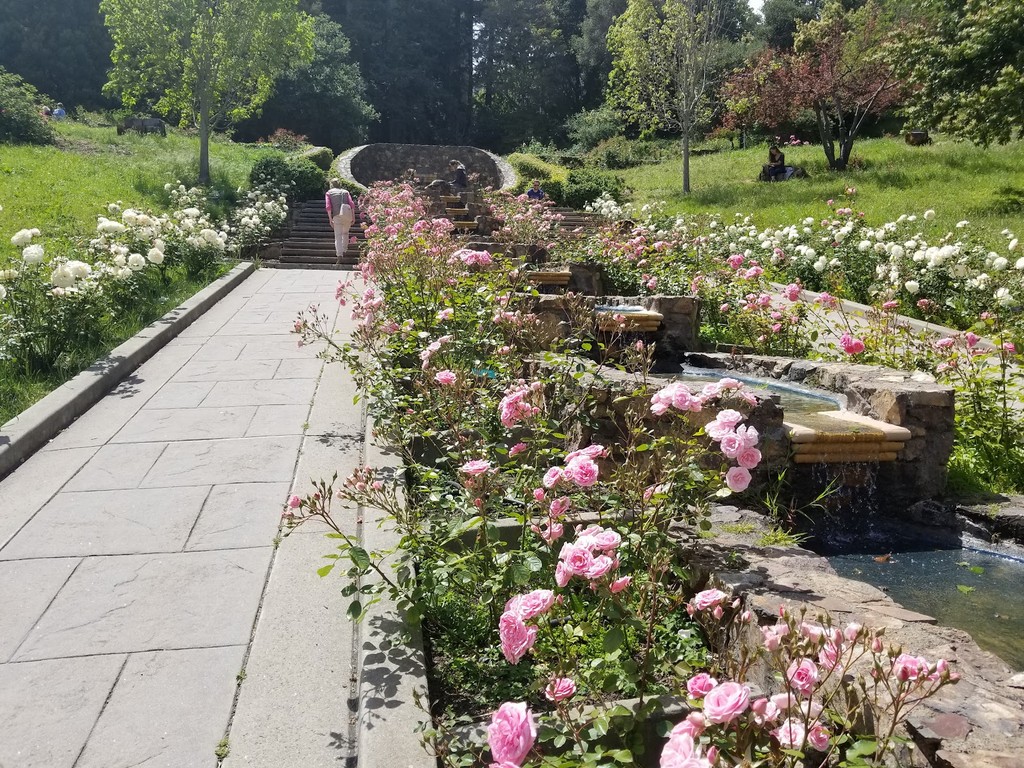 Morcom Rose Garden (Source: Google Maps)