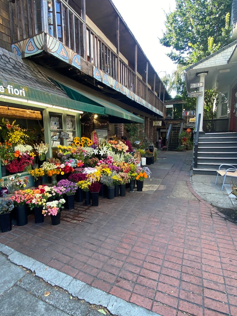 Piedmont Avenue (Source: Google Maps)