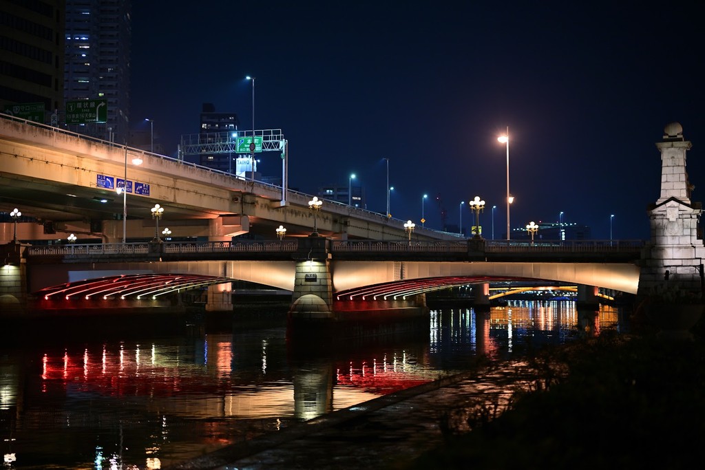 Naniwa Bridge (Lion Bridge) (Source: Google Maps)