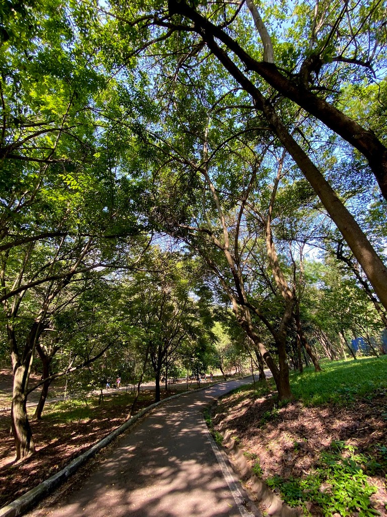 Parque Ecológico Dionísio Alvarez Mateos (Source: Google Maps)