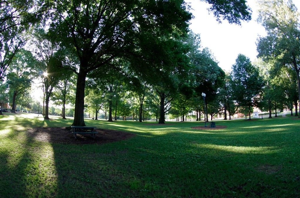 The Grove (Source: Google Maps)