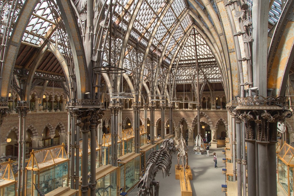 University Museum (Source: Google Maps)