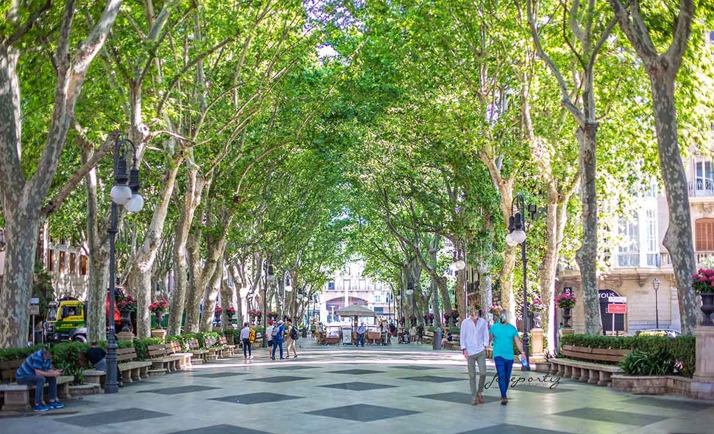 Passeig del Born (Source: Google Maps)