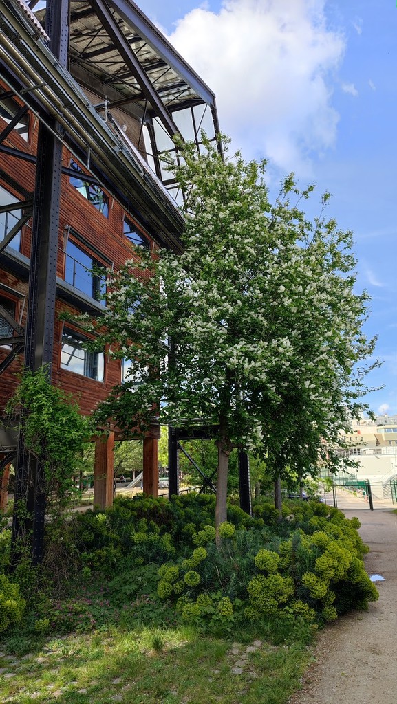 Jardins Rosa-Luxemburg (Source: Google Maps)