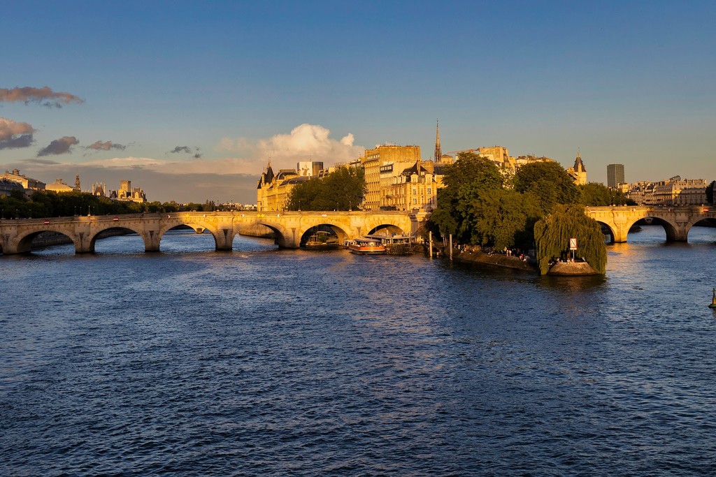 Pont Neuf (Source: Google Maps)