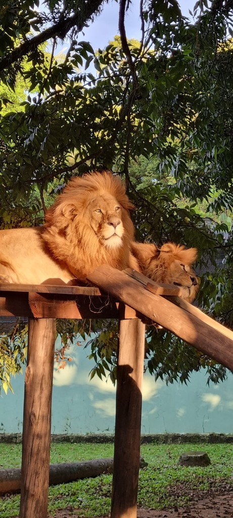 Zoo Pomerode (Source: Google Maps)