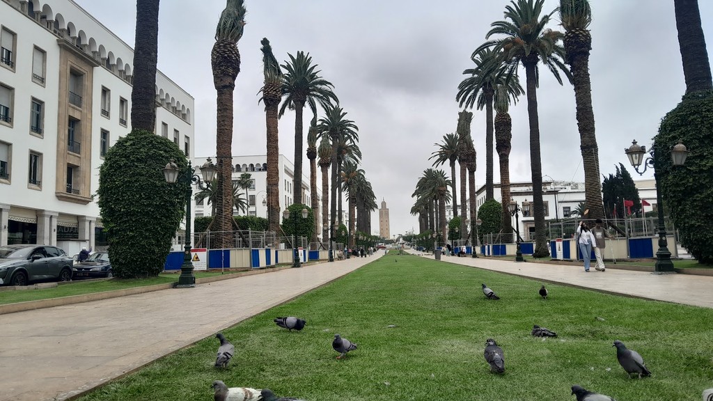 Avenue Mohammed V (Source: Google Maps)
