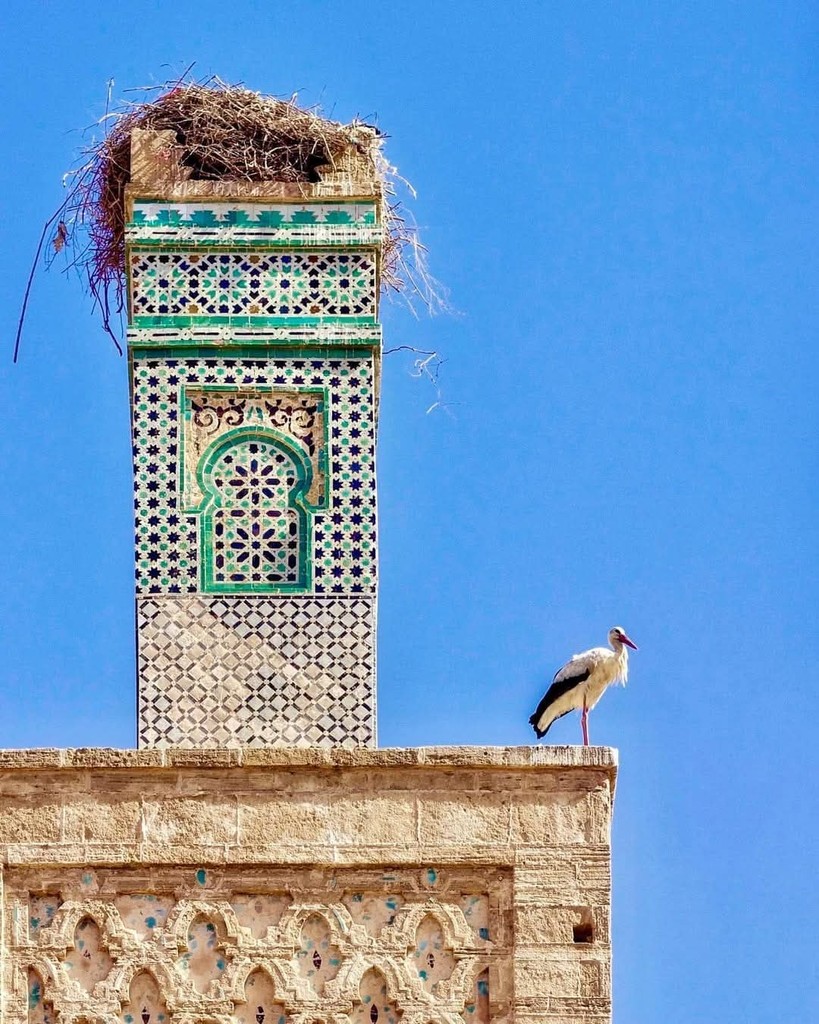 Chellah (Source: Google Maps)