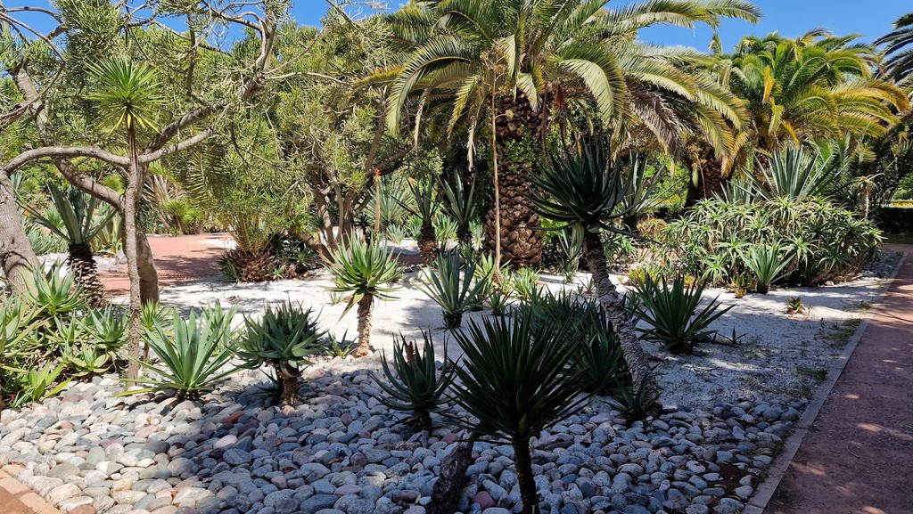 Jardin d'Essais Botaniques (Source: Google Maps)