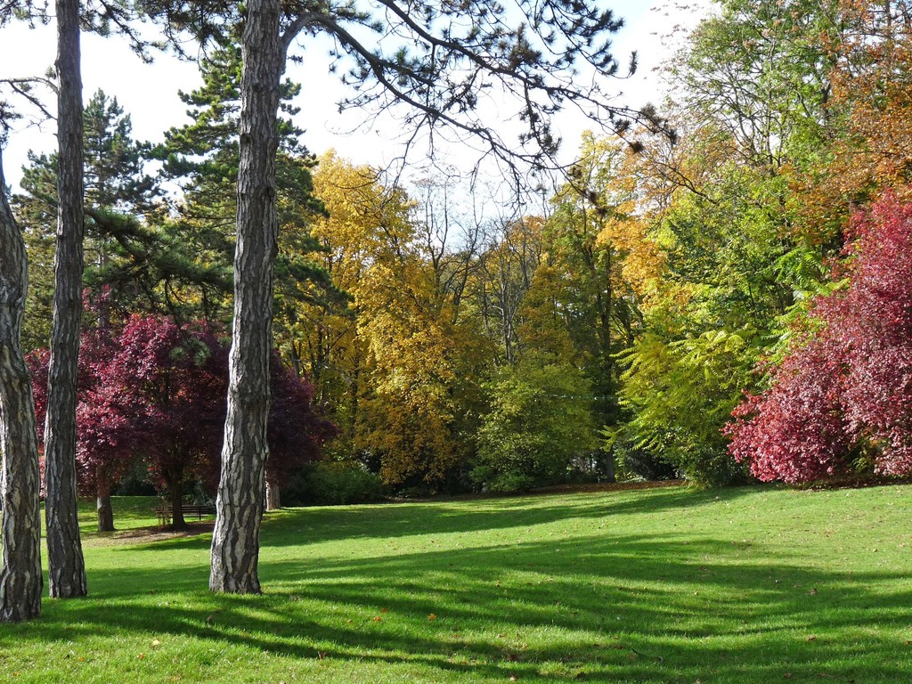 Parc de Champagne (Source: Google Maps)