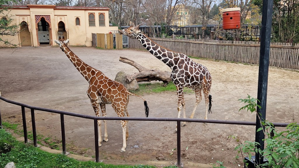 Bioparco di Roma (Source: Google Maps)