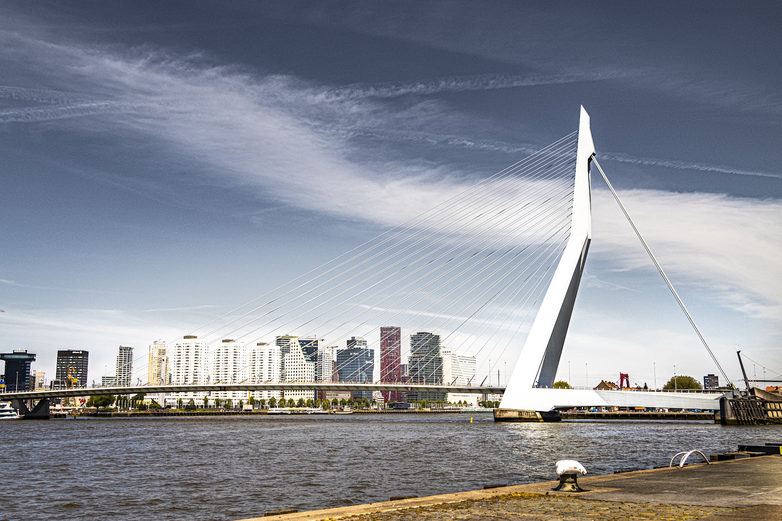 Erasmus Bridge (Erasmusbrug) (Source: Google Maps)