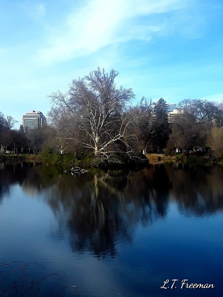 Southside Park (Source: Google Maps)