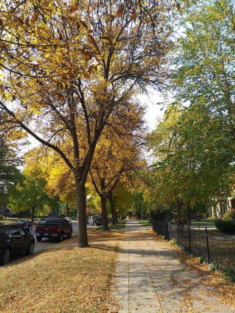 Summit Avenue (Source: Google Maps)