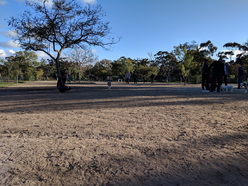 Nate’s Point Dog Park (Source: Google Maps)