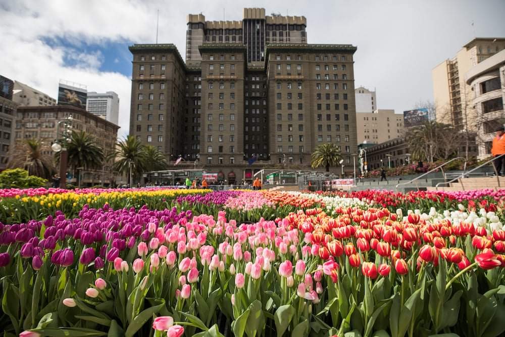 Union Square (Source: Google Maps)