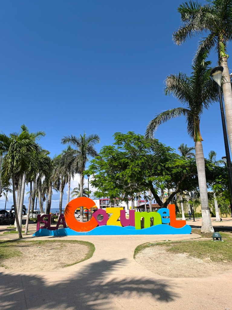 Benito Juarez Park (Source: Google Maps)