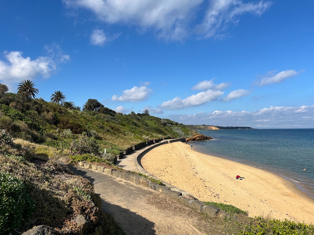 Sandringham Beach (Source: Google Maps)