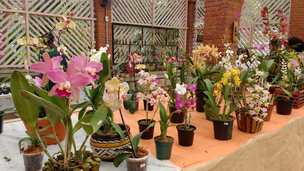 Orchid Garden (Orquidário Municipal de Santos) (Source: Google Maps)