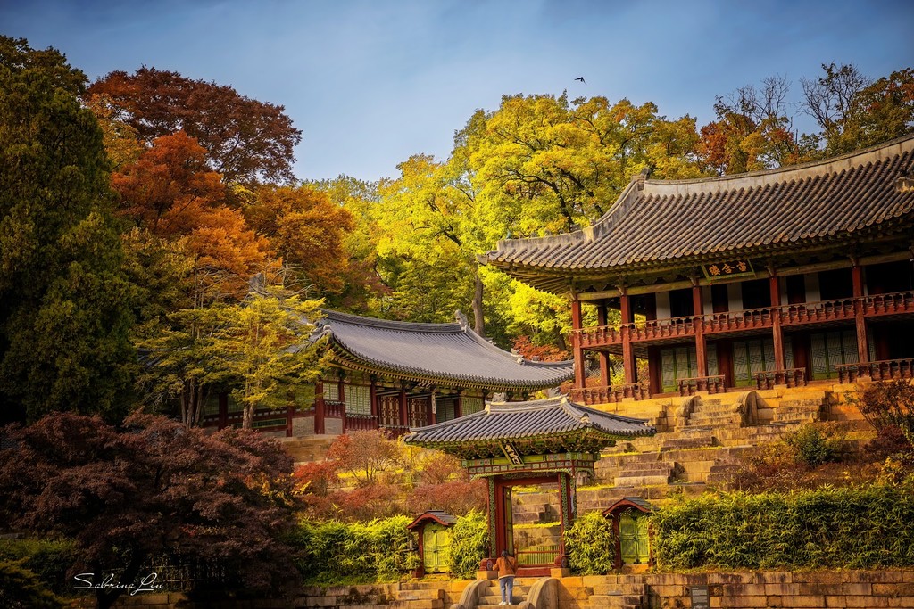 Changdeokgung Palace and Huwon (Source: Google Maps)