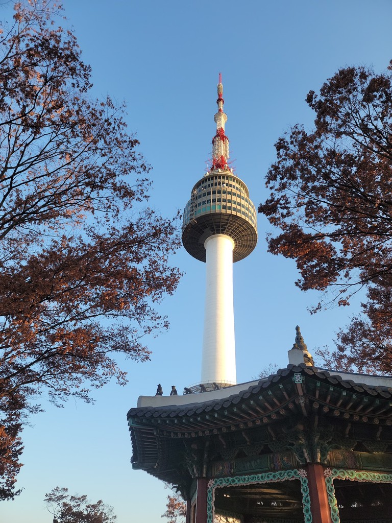 N Seoul Tower (Source: Google Maps)