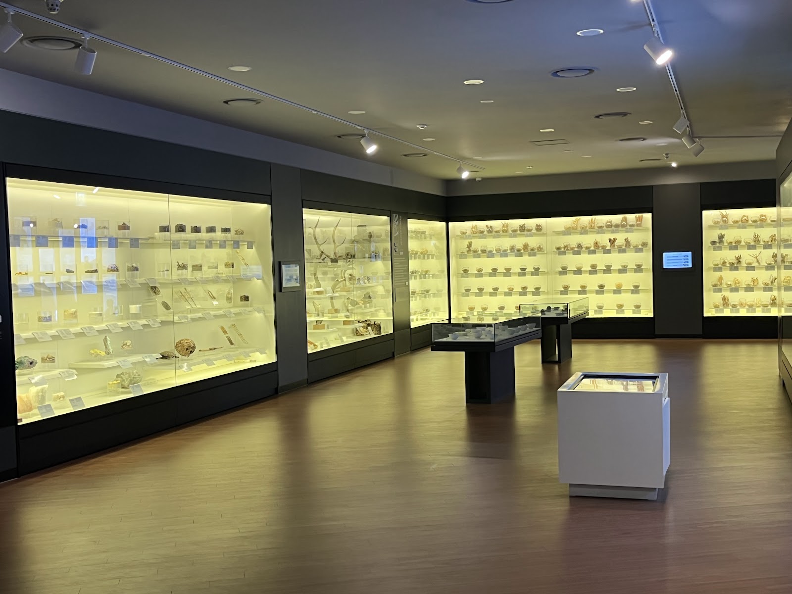 Seoul Yangnyeongsi Herb Medicine Museum (Source: Google Maps)