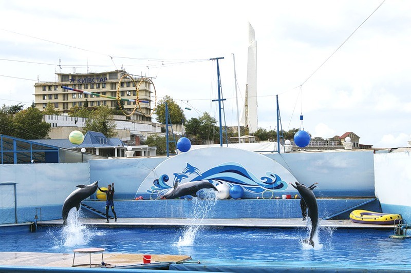 Sevastopol Dolphinarium (Source: Google Maps)