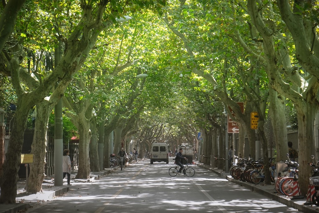 Former French Concession (Source: Google Maps)