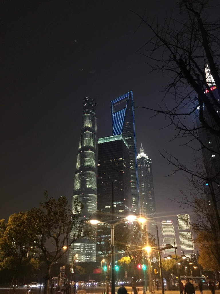 Lujiazui Pedestrian Bridge (Source: Google Maps)