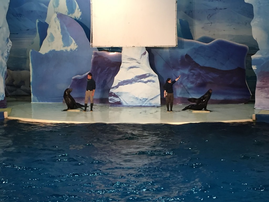 Shanghai Changfeng Ocean World (上海长风海洋世界) (Source: Google Maps)