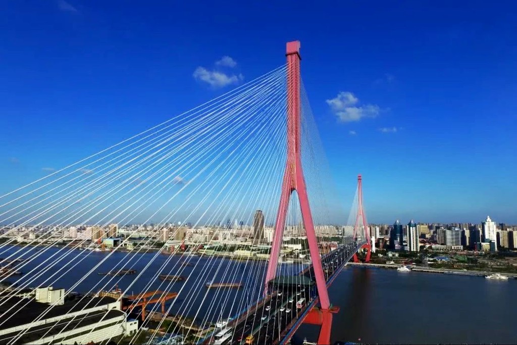 Yangpu Bridge (杨浦大桥) (Source: Google Maps)
