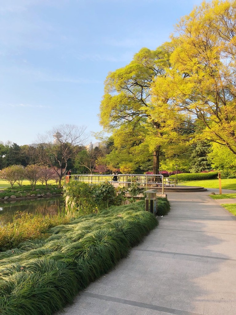 Yanzhong Park (Source: Google Maps)