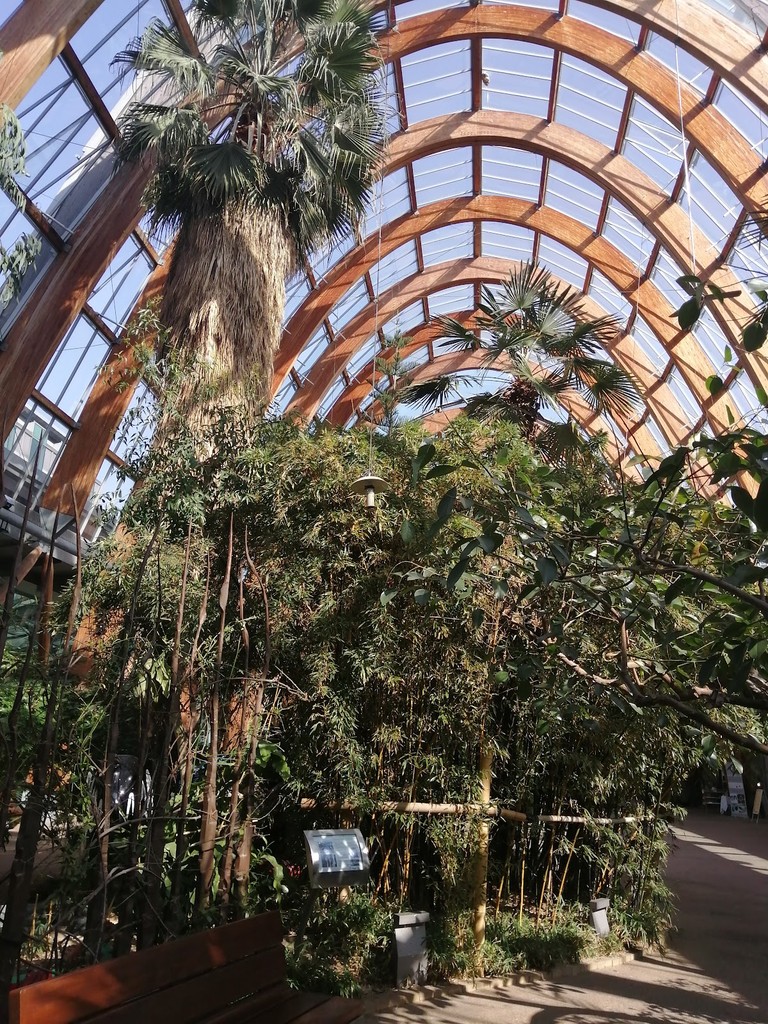 Sheffield Winter Garden (Source: Google Maps)
