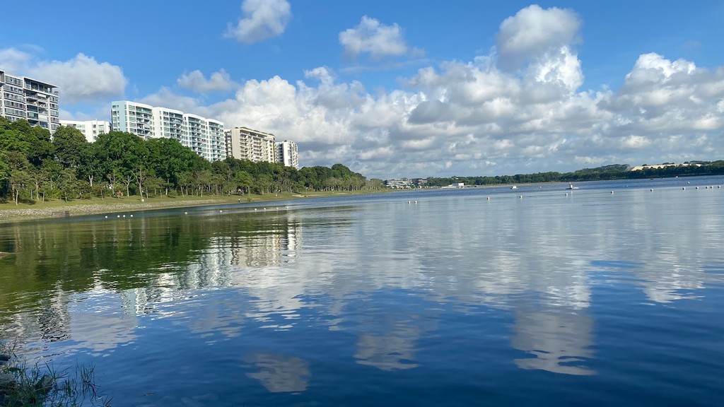 Bedok Reservoir Park (Source: Google Maps)