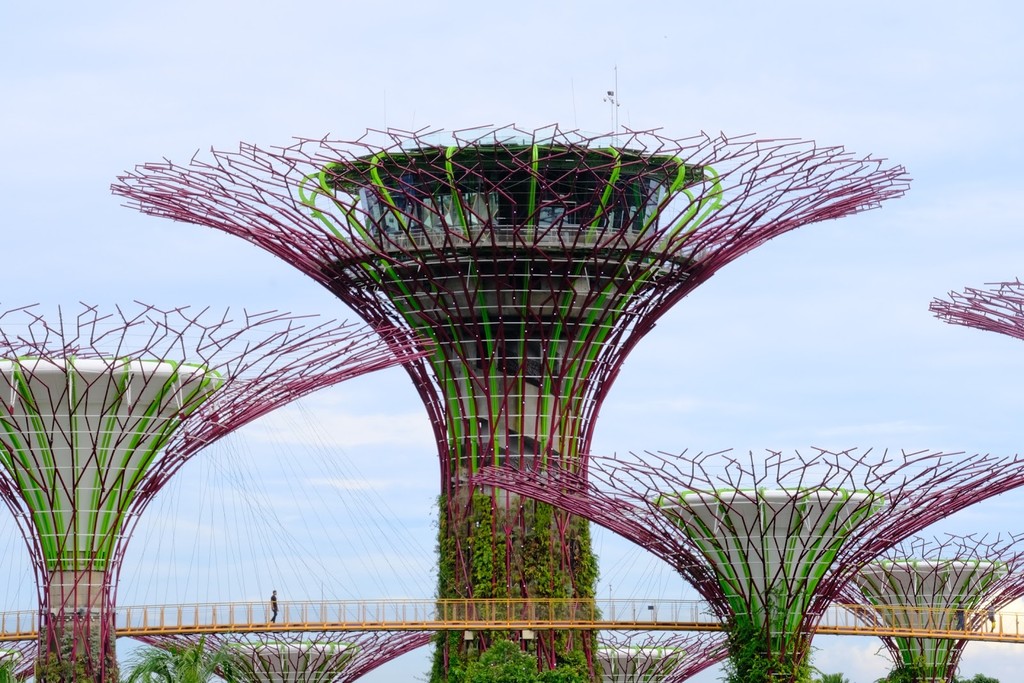Gardens by the Bay (Source: Google Maps)