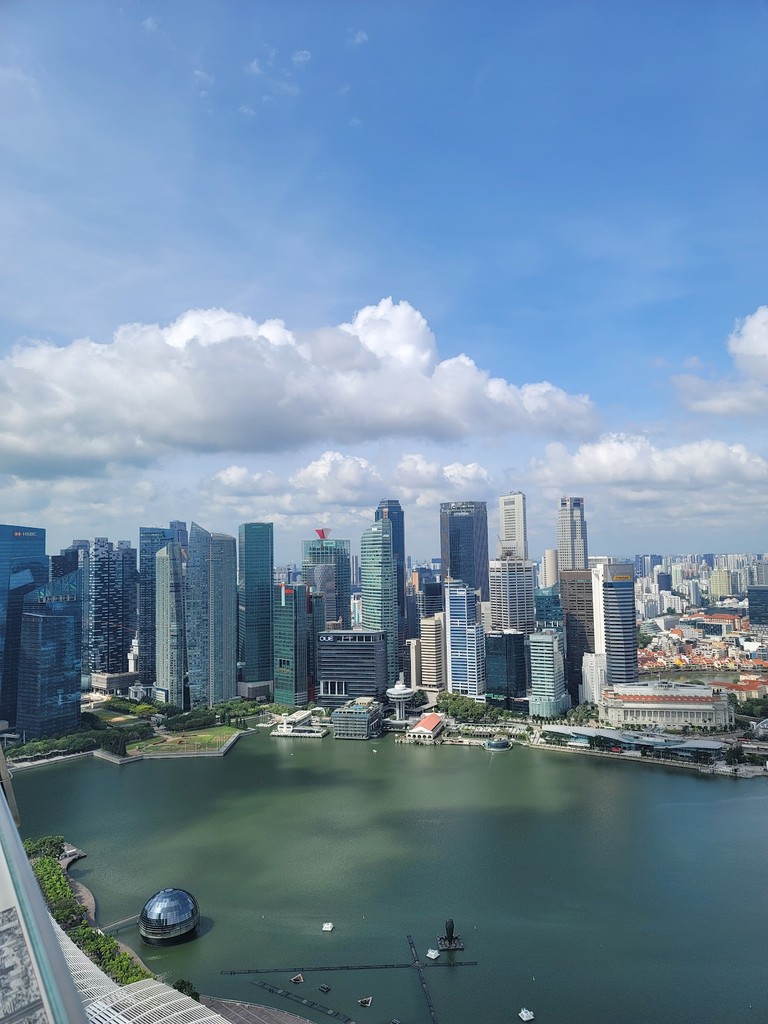 Marina Bay Sands SkyPark (Source: Google Maps)