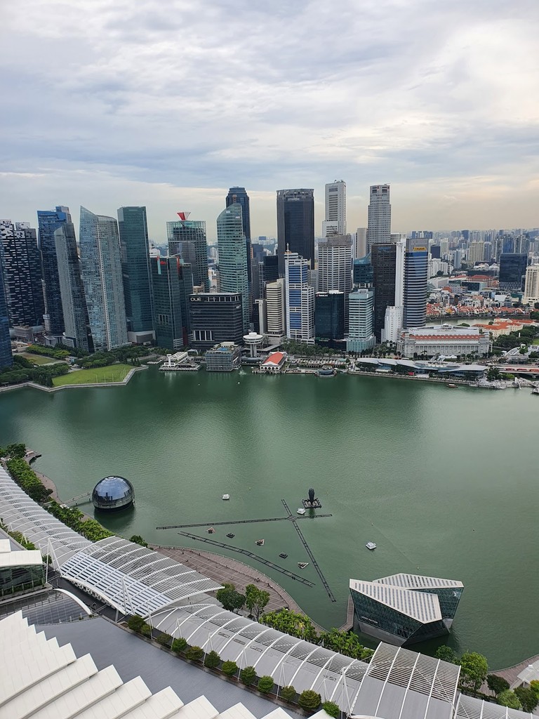 Marina Bay Sands SkyPark Observation Deck (Source: Google Maps)