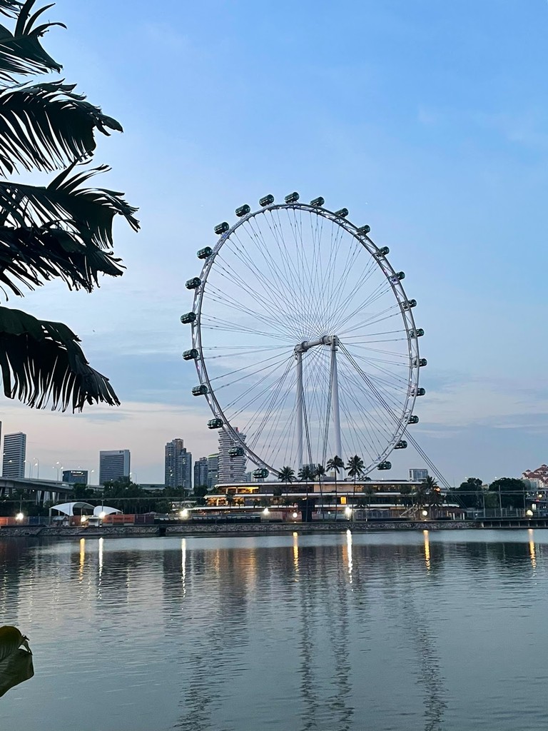 Singapore Flyer (Source: Google Maps)
