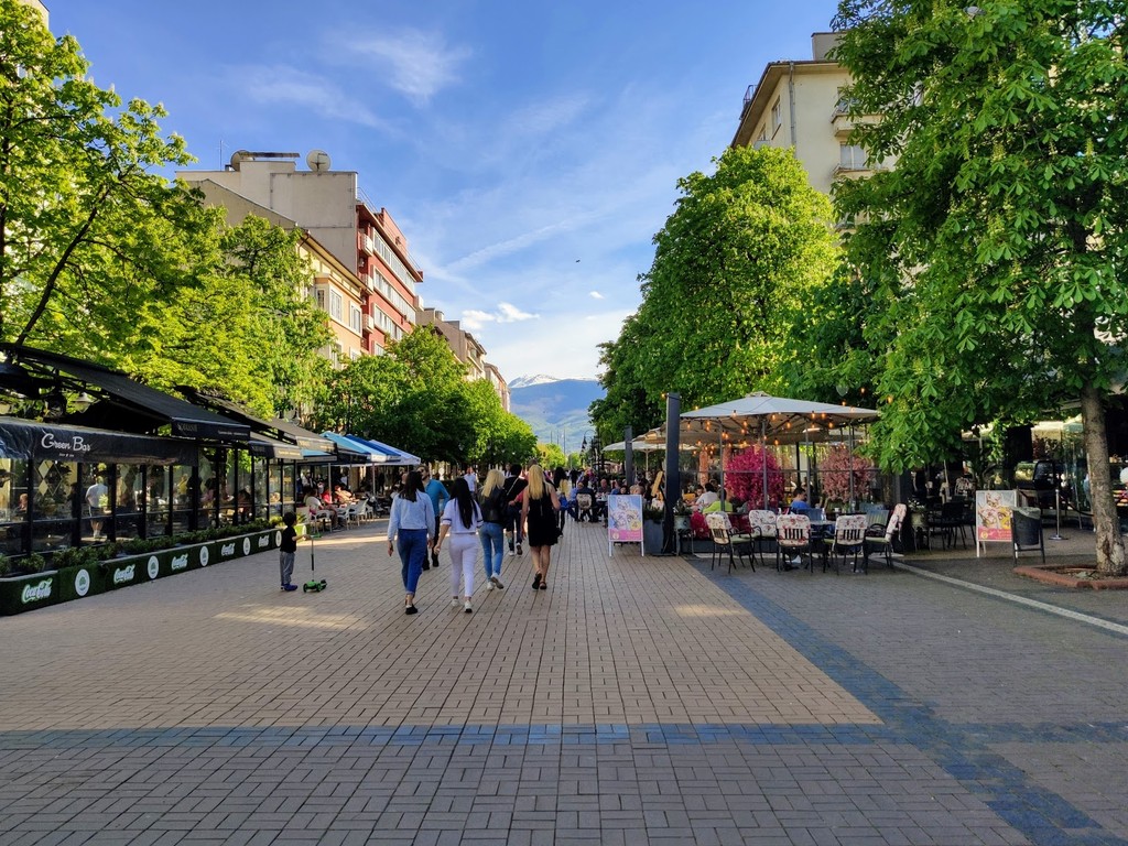 Vitosha Boulevard (Source: Google Maps)