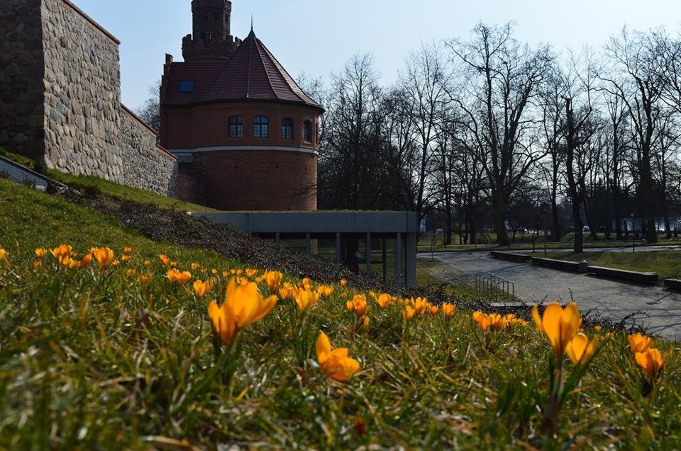 Museum of Stargard (Muzeum Stargard) (Source: Google Maps)