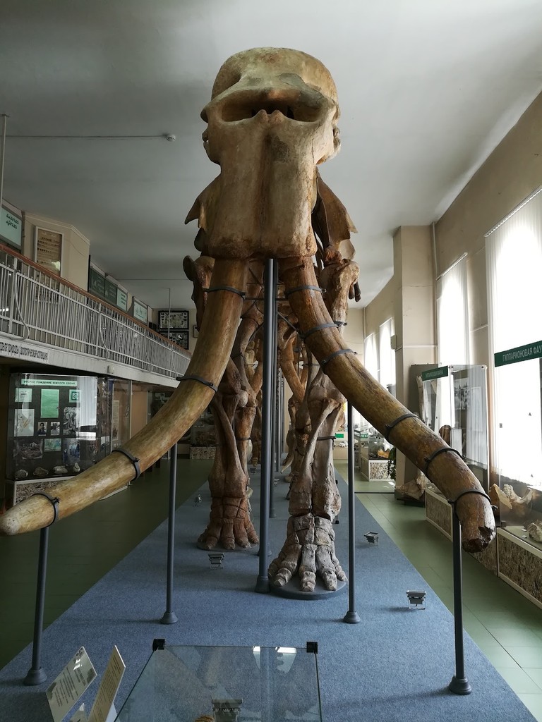 Stavropol State History Museum (Source: Google Maps)