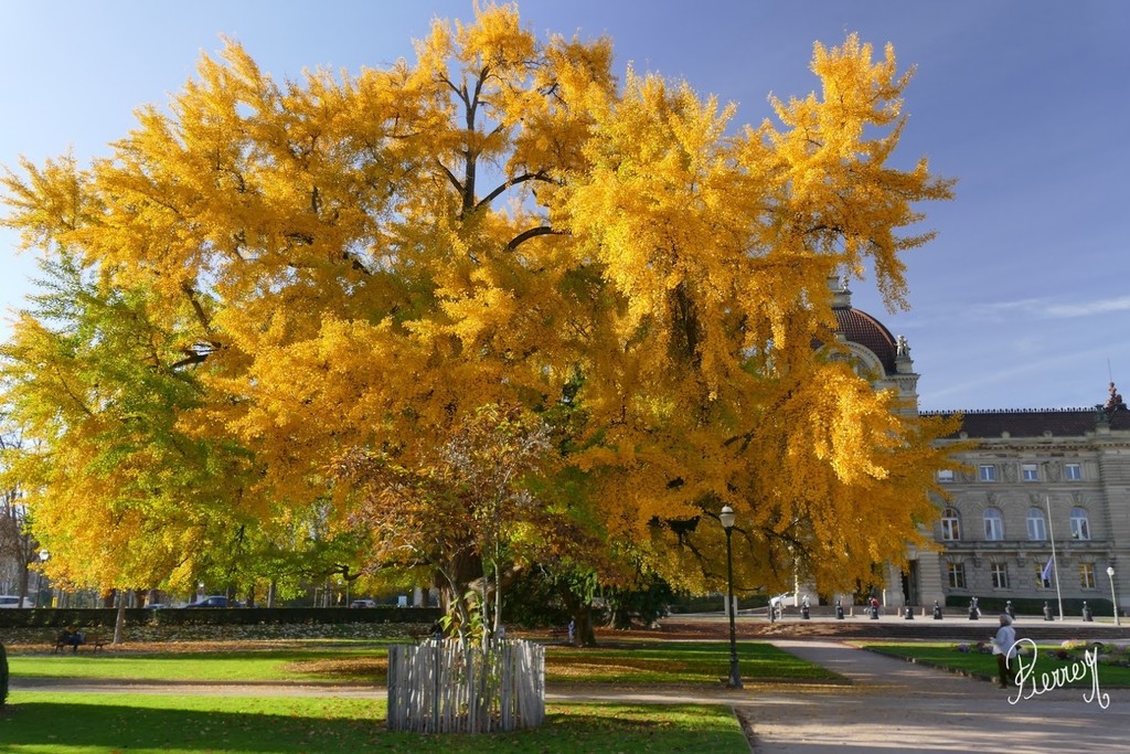 Place de la République (Source: Google Maps)