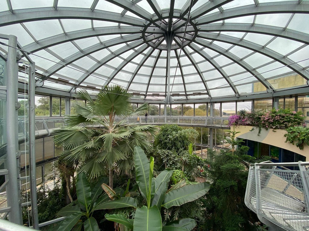 Sunderland Museum and Winter Gardens (Source: Google Maps)