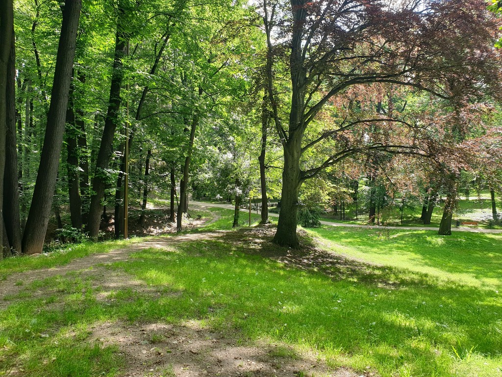 Park Miejski (Source: Google Maps)