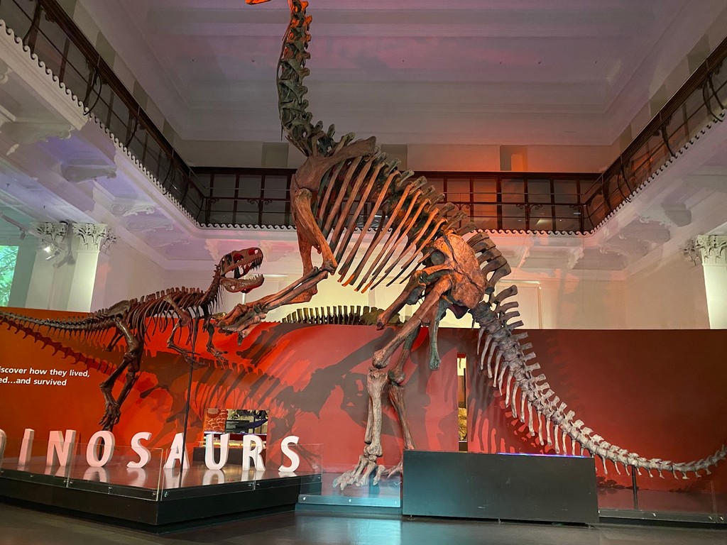 Australian Museum (Source: Google Maps)