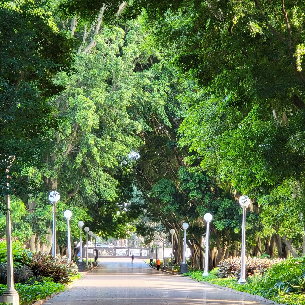 Hyde Park (Source: Google Maps)
