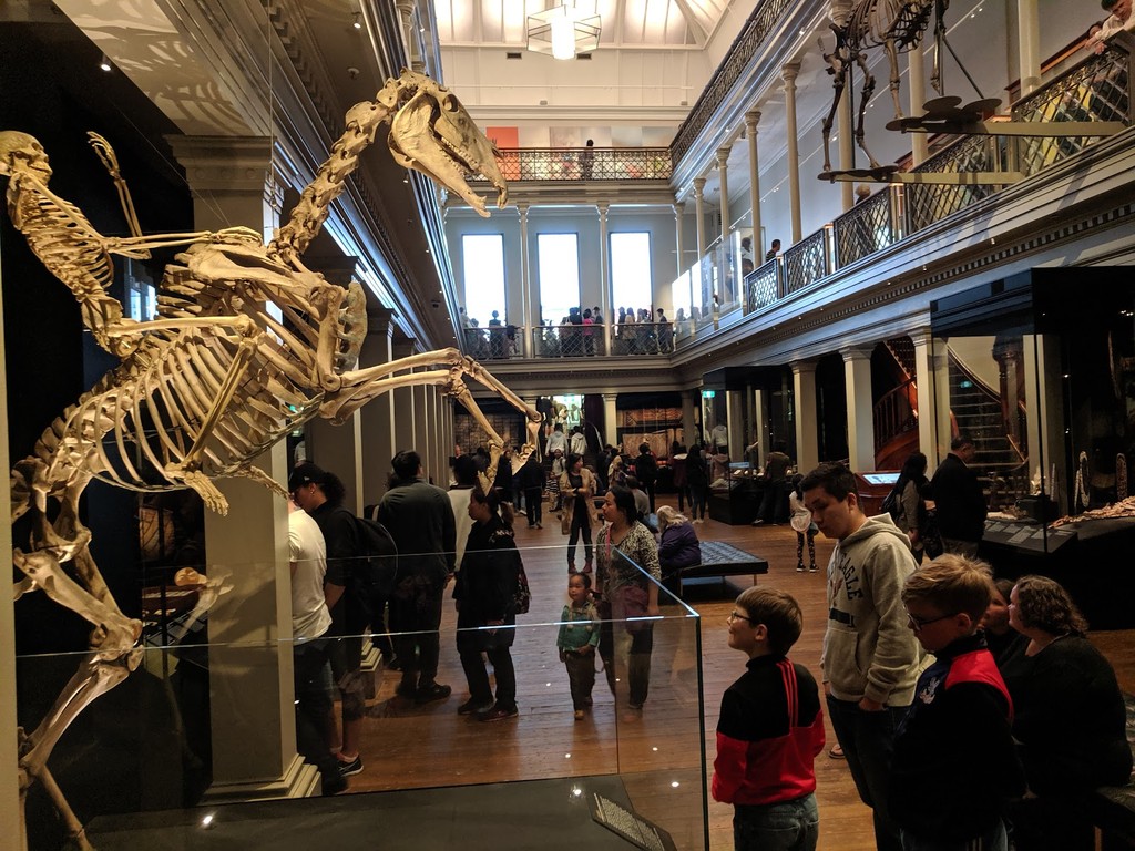 The Australian Museum (Source: Google Maps)
