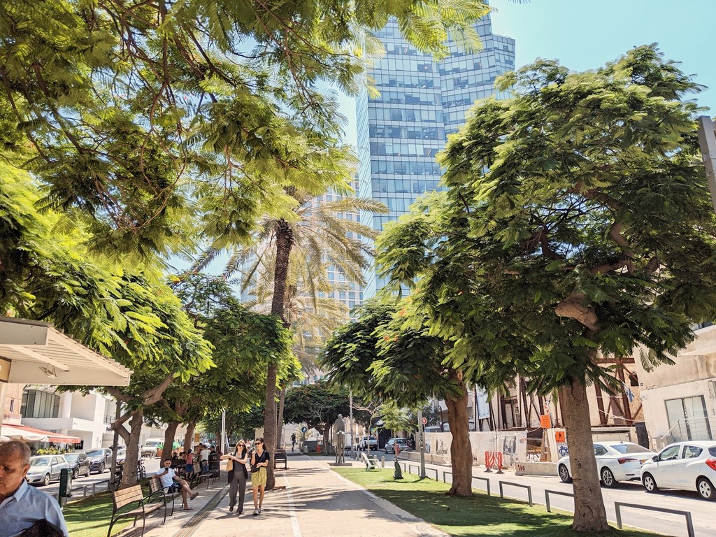 Rothschild Boulevard (Source: Google Maps)