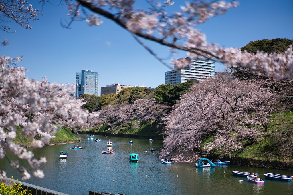Chidorigafuchi (Source: Google Maps)