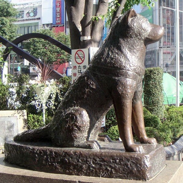 Hachiko Statue (Source: Google Maps)